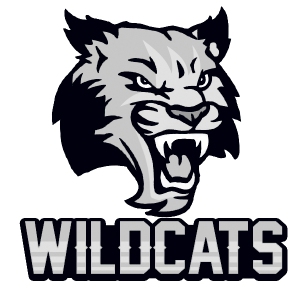 wildcats graduation mascot temporary tattoo